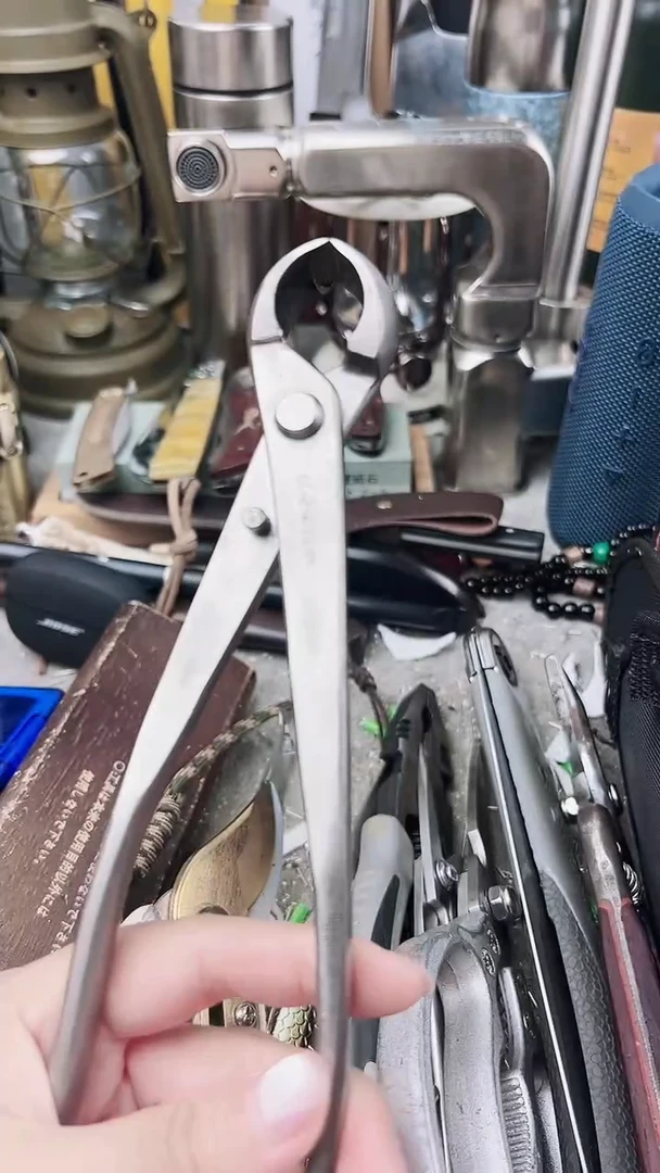 瓷片瓷片东京很热杂货正品保证