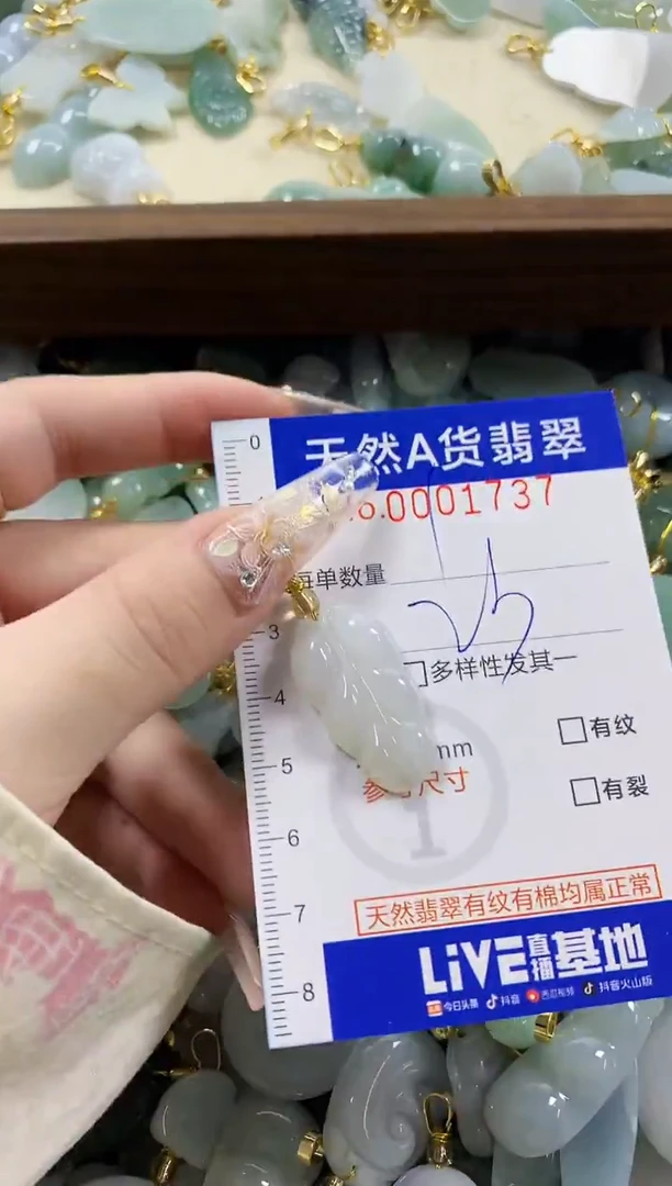 颈饰未镶嵌翡翠天然A货翡翠