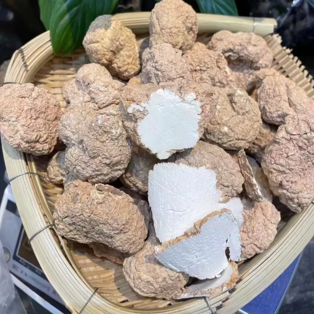 特级精选散装虎乳菌