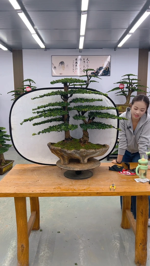 无花朵貔**灏00000000000