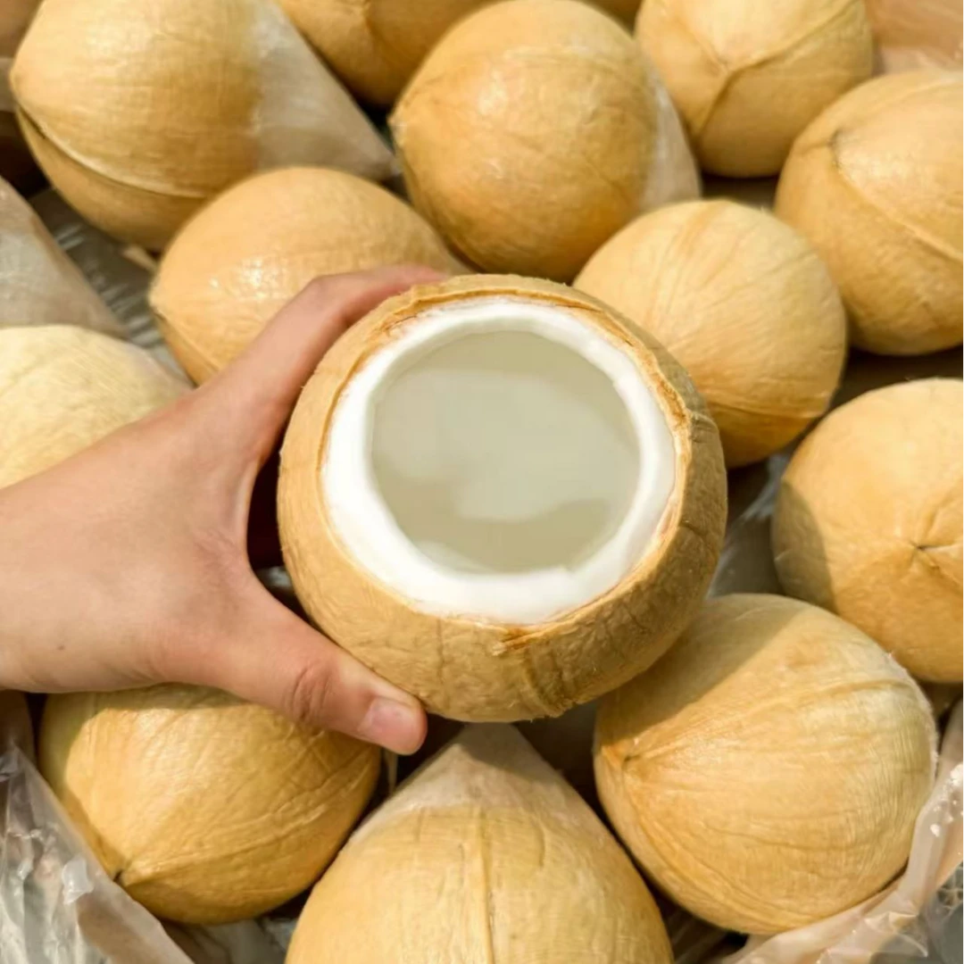 泰国丹嫩沙多核心产区椰皇6-9颗装（400-600g/颗）顺丰包邮