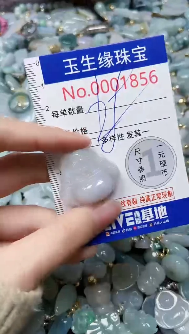 【闪购商品】翡翠颈饰未镶嵌闪购00001856