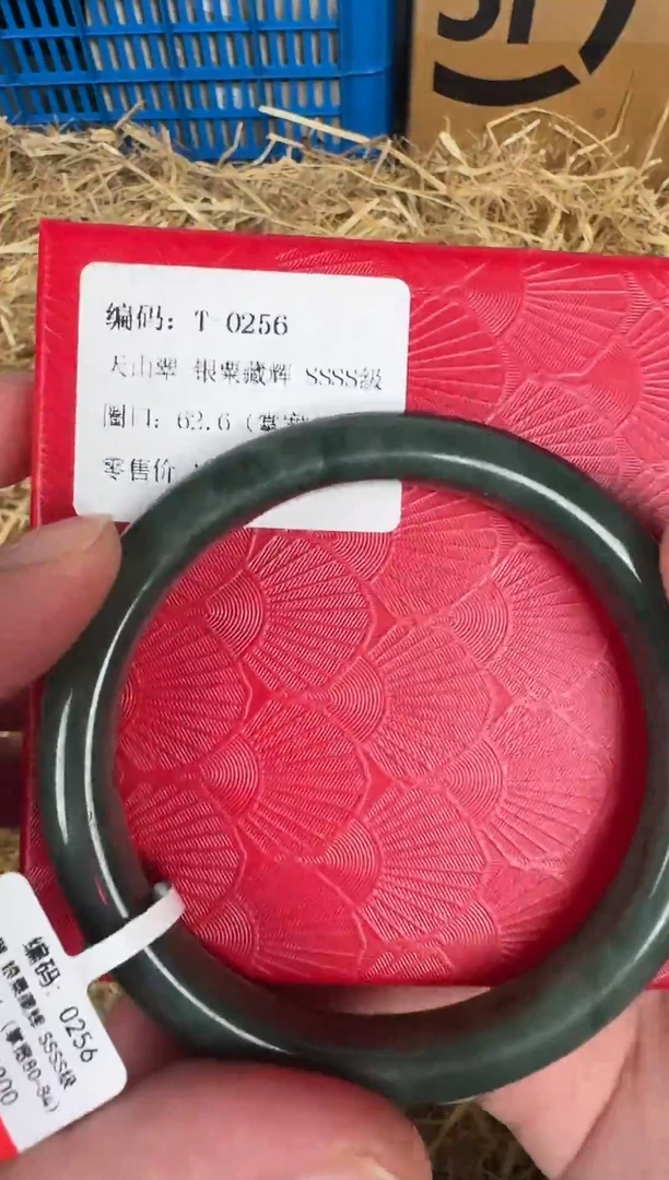 未镶嵌手镯石英质玉T-0256