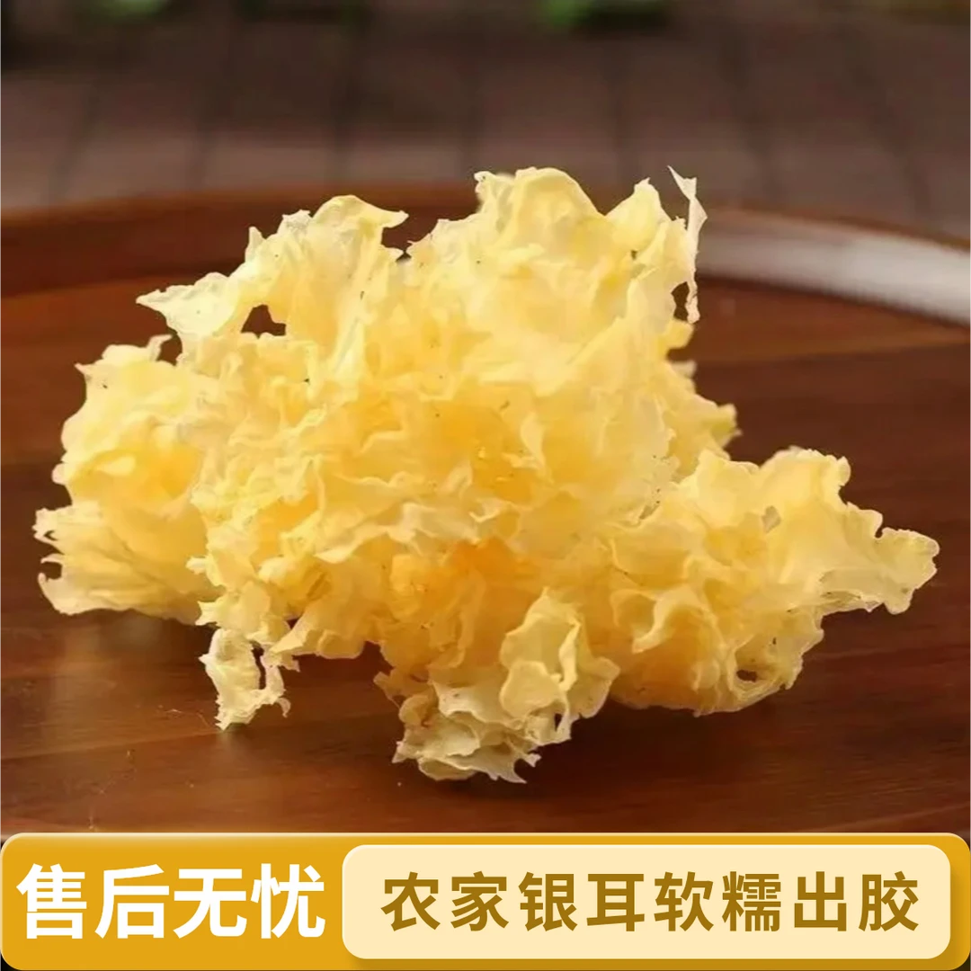 农家银耳块干货无熏硫煲汤软糯胶多泡发率高