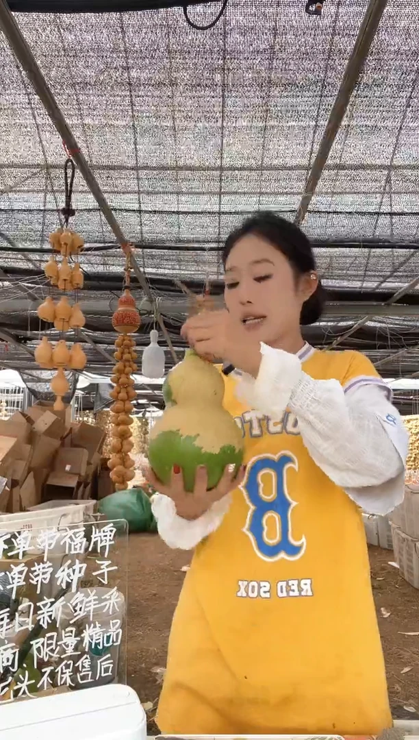 826天然葫芦摆件 一物一拍龙头不保售后微瑕疵
