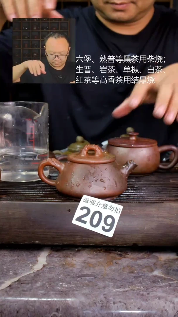 壶四大名陶钦州坭兴陶209