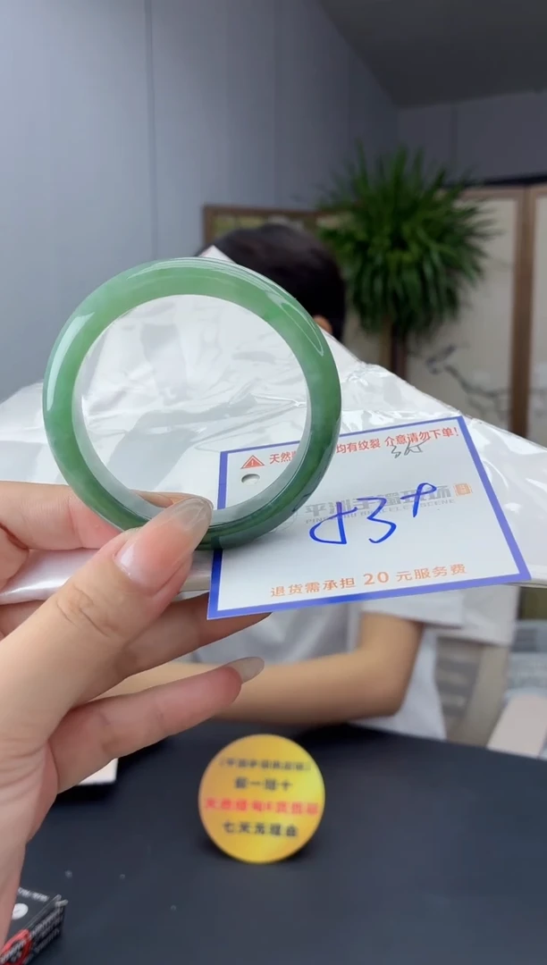 未镶嵌手镯翡翠111111111111
