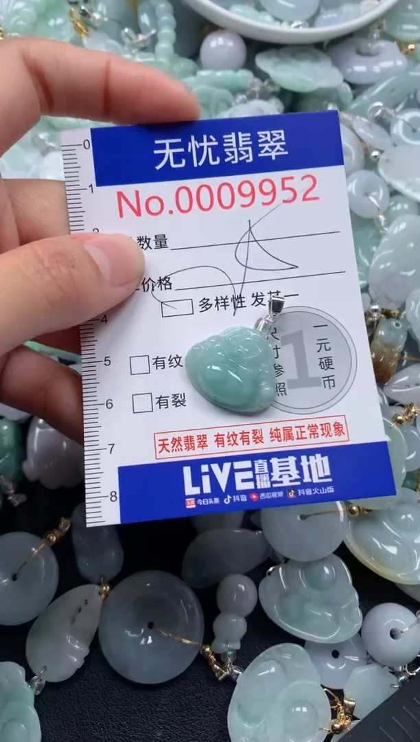 颈饰未镶嵌翡翠9952