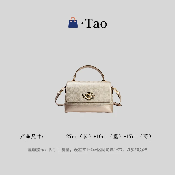 【TT Studio】BF-66561-2-香槟金 RAIN.CUN简约腋下斜跨轻奢女包