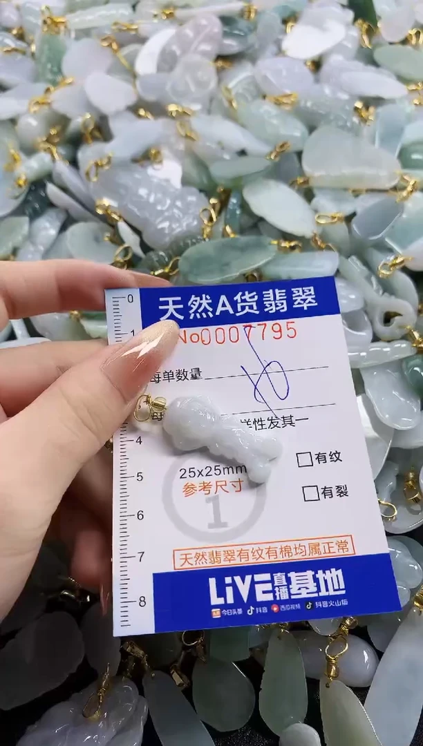 颈饰未镶嵌翡翠天然A货翡翠