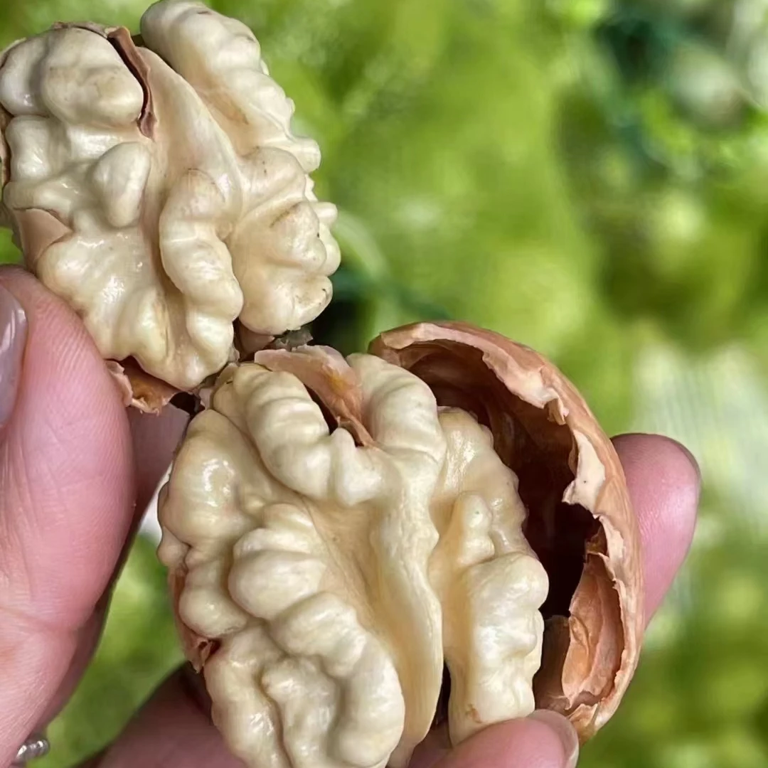 甜嫩鲜核桃牛奶核桃2斤装4斤装6斤装中果