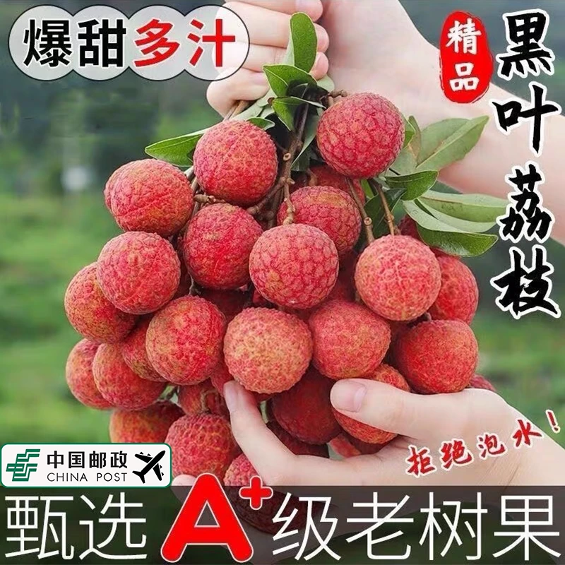 主播亏米活动广西老品种荔枝黑叶荔枝现摘不泡药冷链直发整箱包邮