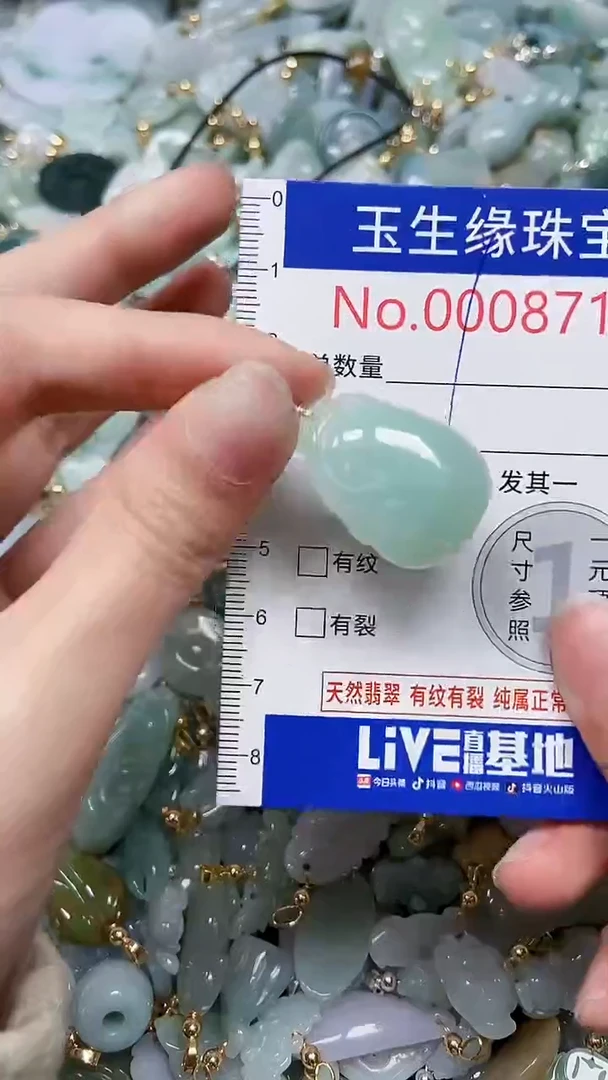 【闪购商品】翡翠颈饰未镶嵌闪购00008711