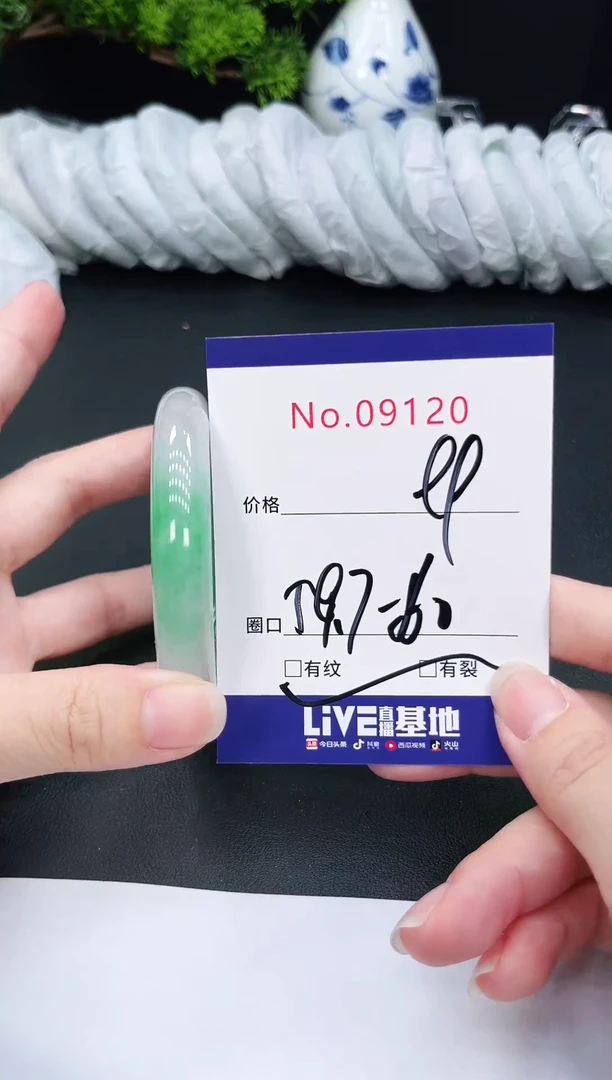 未镶嵌手镯翡翠9120