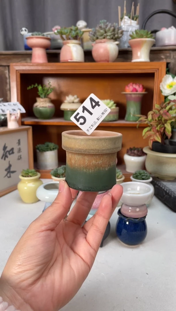 瓷片514小芳直播编号