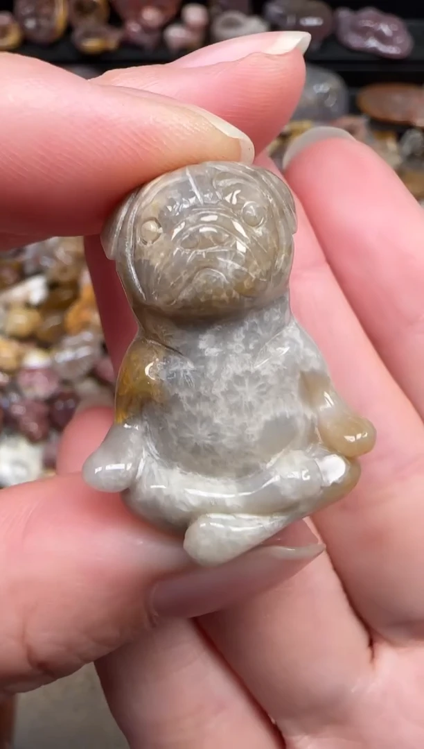 颈饰未镶嵌硅化珊瑚（珊瑚玉）724
