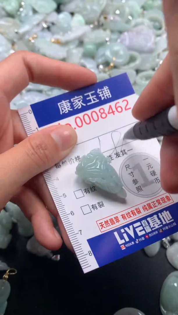 颈饰未镶嵌翡翠8462
