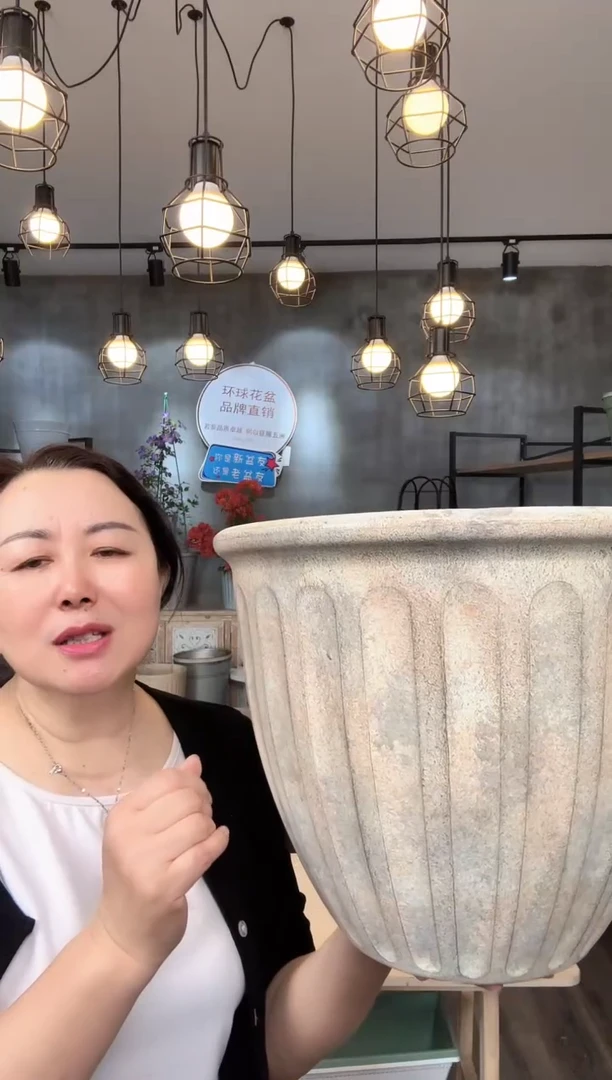 14.5寸瓦尔纳画眉白2只开孔