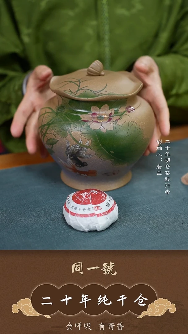 紫砂茶叶罐宜兴原矿紫砂存茶罐+10沱赤玉