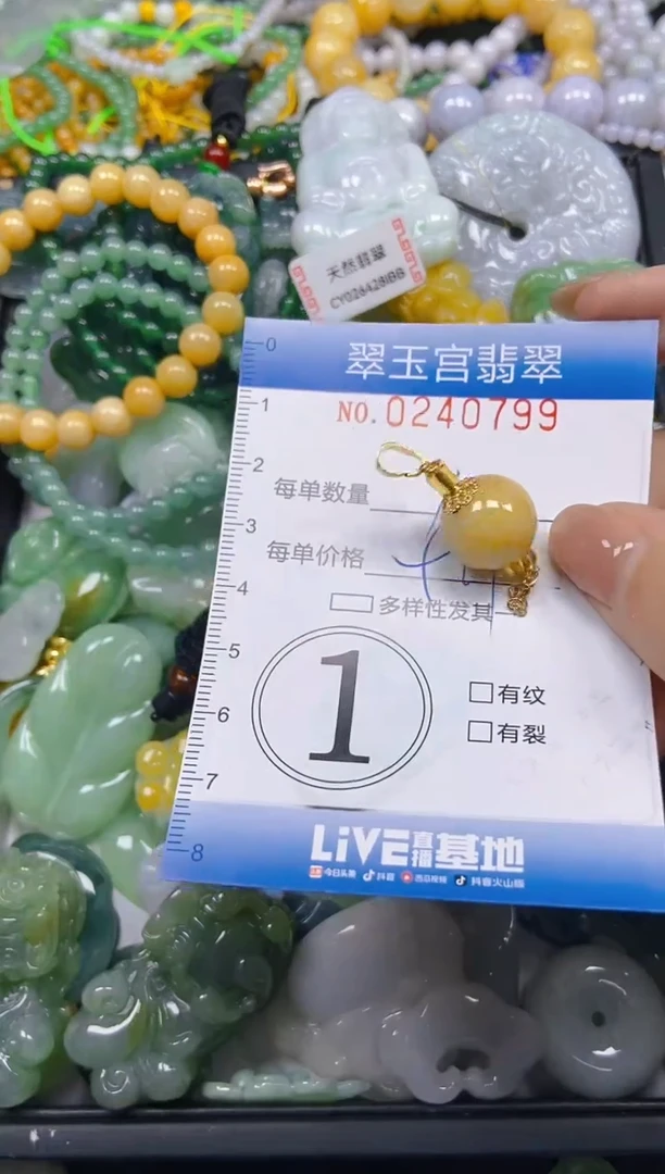 颈饰未镶嵌翡翠闪购C0240799