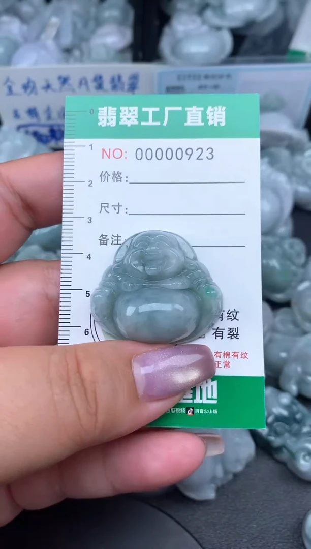翡翠未镶嵌颈饰缅甸天然A货翡翠0923