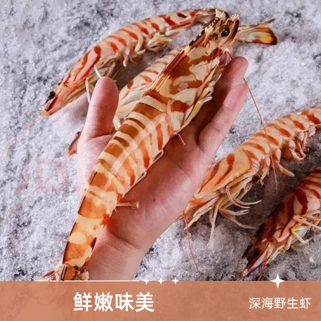 深海野生斑节虾九节虾花虾刺身级液氮锁鲜活冻发货大虾_敏10