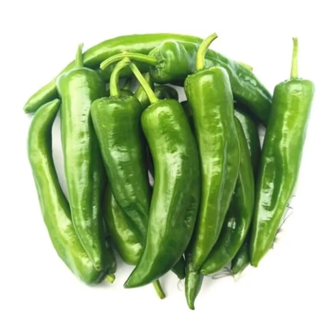 山东直发辣妹子200g±10g/份