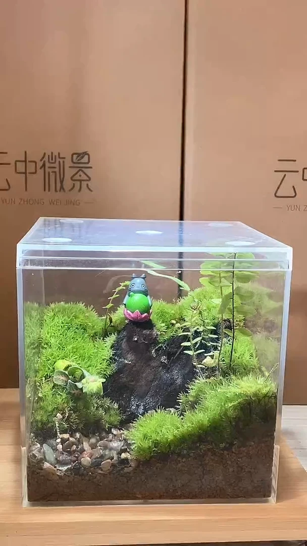 【闪购商品】孤品龙猫款