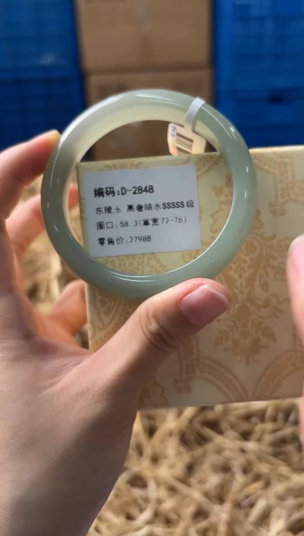 未镶嵌手镯石英质玉D-2848