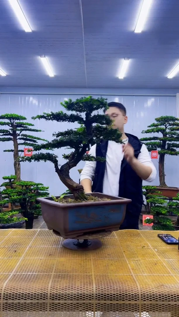 无花朵本****己000000000000000