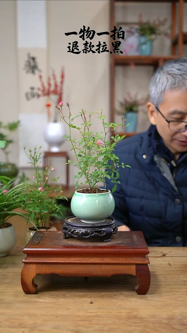 完全开放学**吖月季236