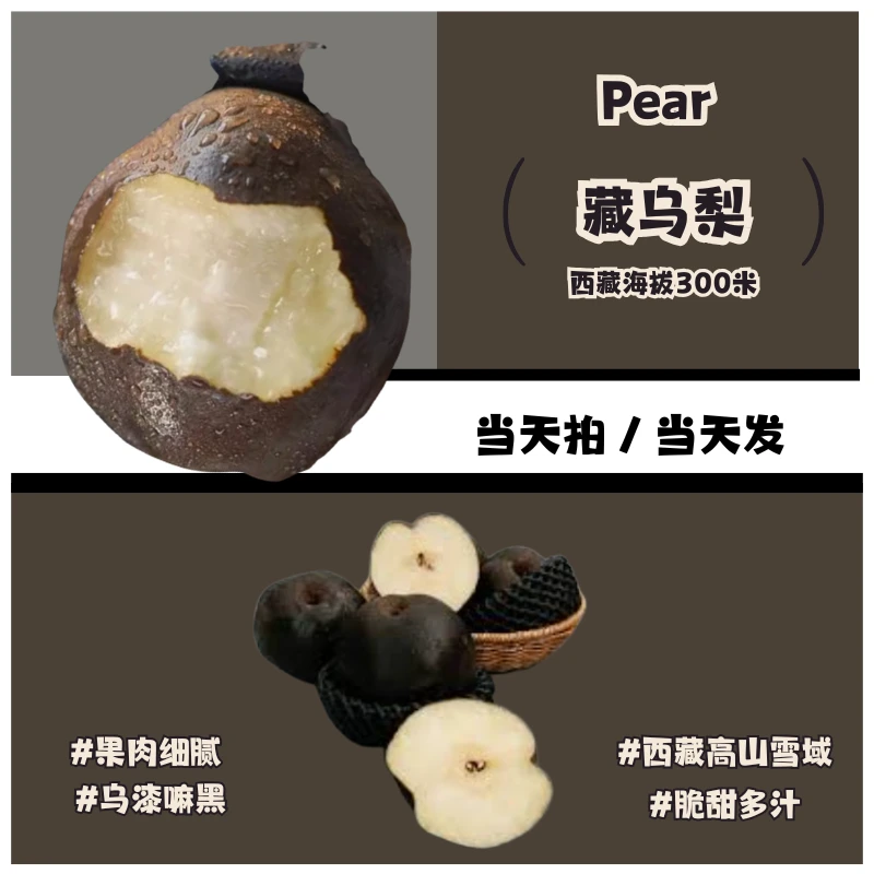 【7斤礼盒装】高原藏乌梨  新鲜水果 西藏高山雪域黑梨