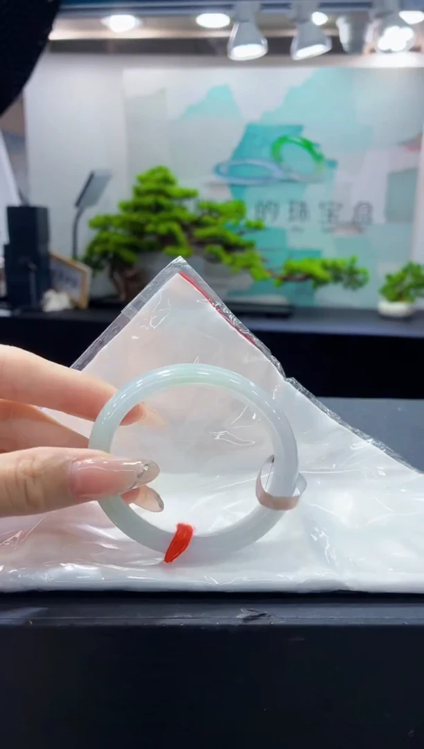 未镶嵌手镯翡翠16