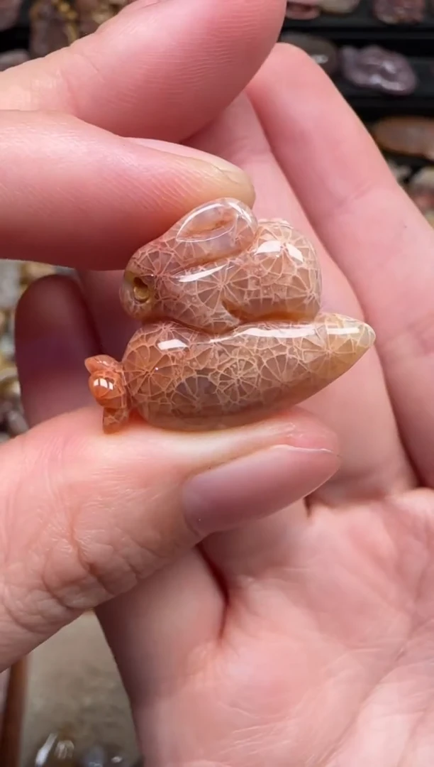 颈饰未镶嵌硅化珊瑚（珊瑚玉）561