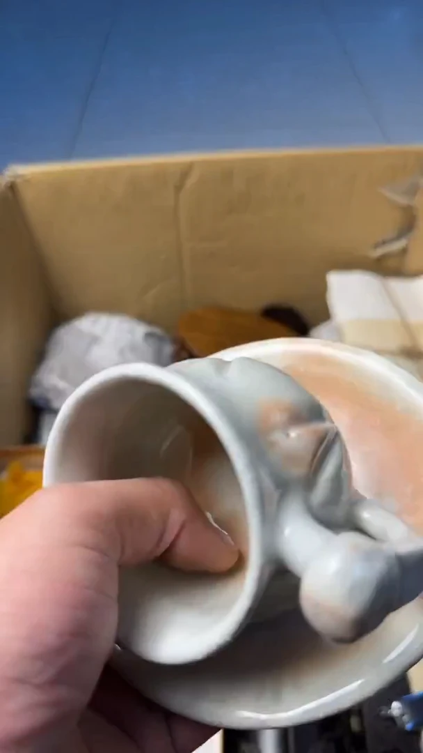 如图所示 所拍即所得