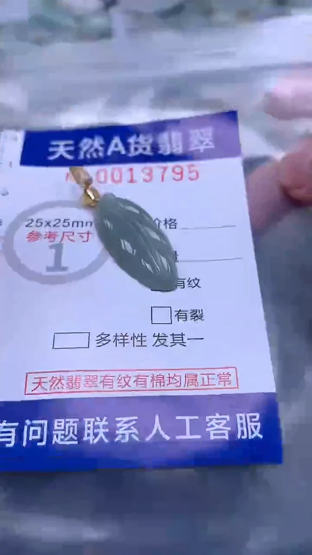 翡翠未镶嵌吊坠(不含链)1