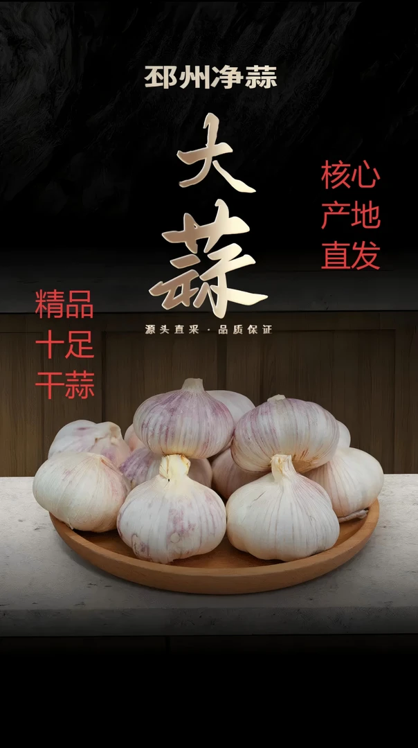 精品干大蒜---5斤9斤-3斤-规格齐全-源头产地直发