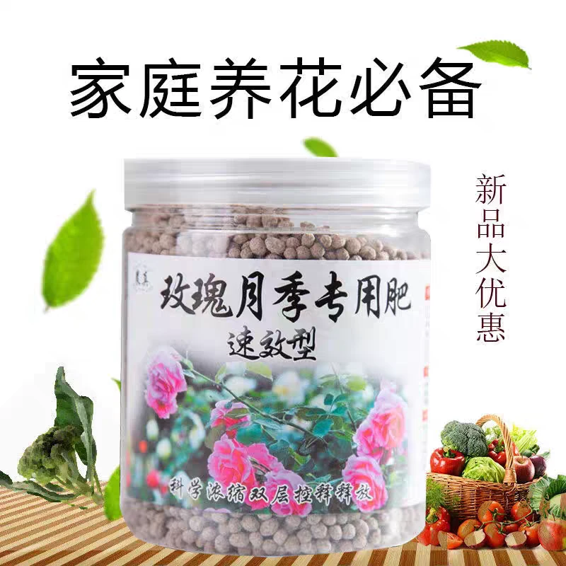月季玫瑰专用肥料