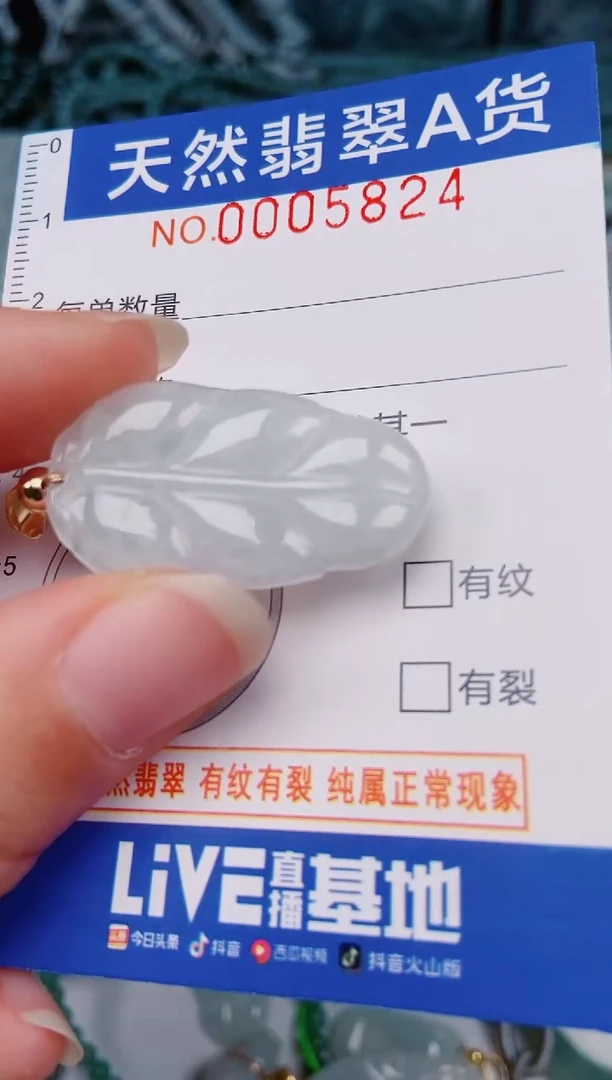 颈饰未镶嵌翡翠00005824