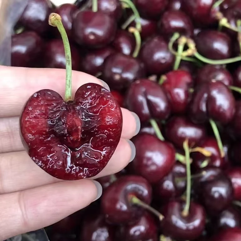 39    2JD【海运】智利车厘子 拉宾斯 原箱  净重5斤 内附果径卡