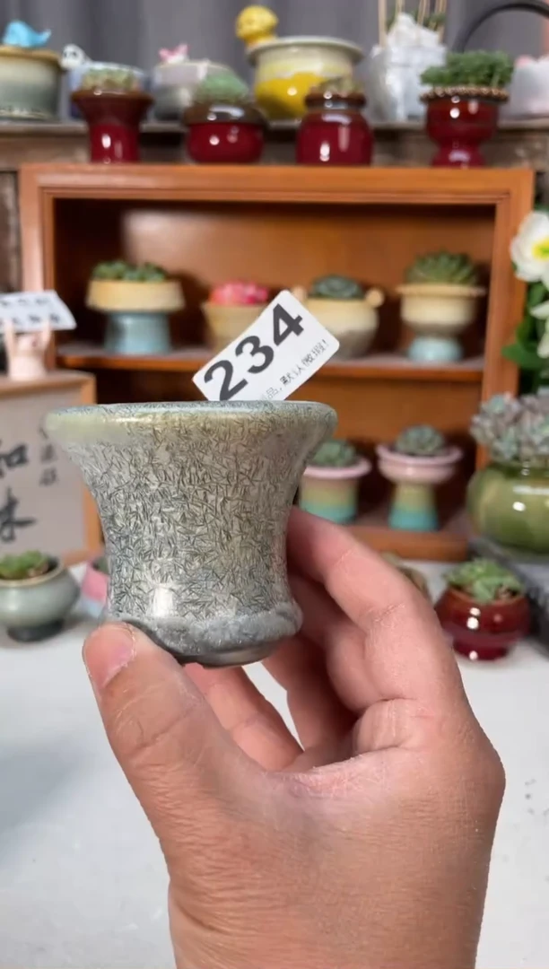 瓷片234小芳直播编号