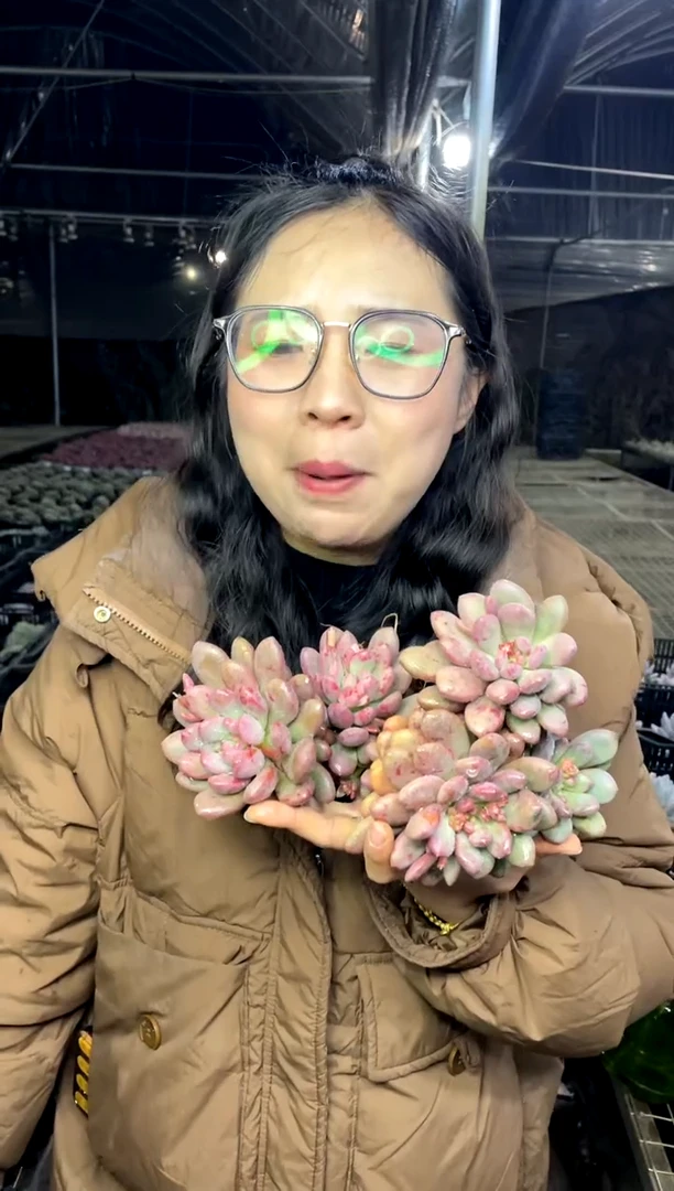 【闪购商品】7-桃心9.99