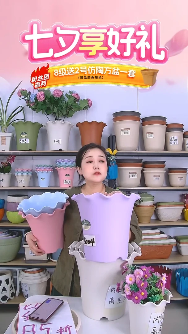 20套彩色荷叶边5004，带托盘，紫色