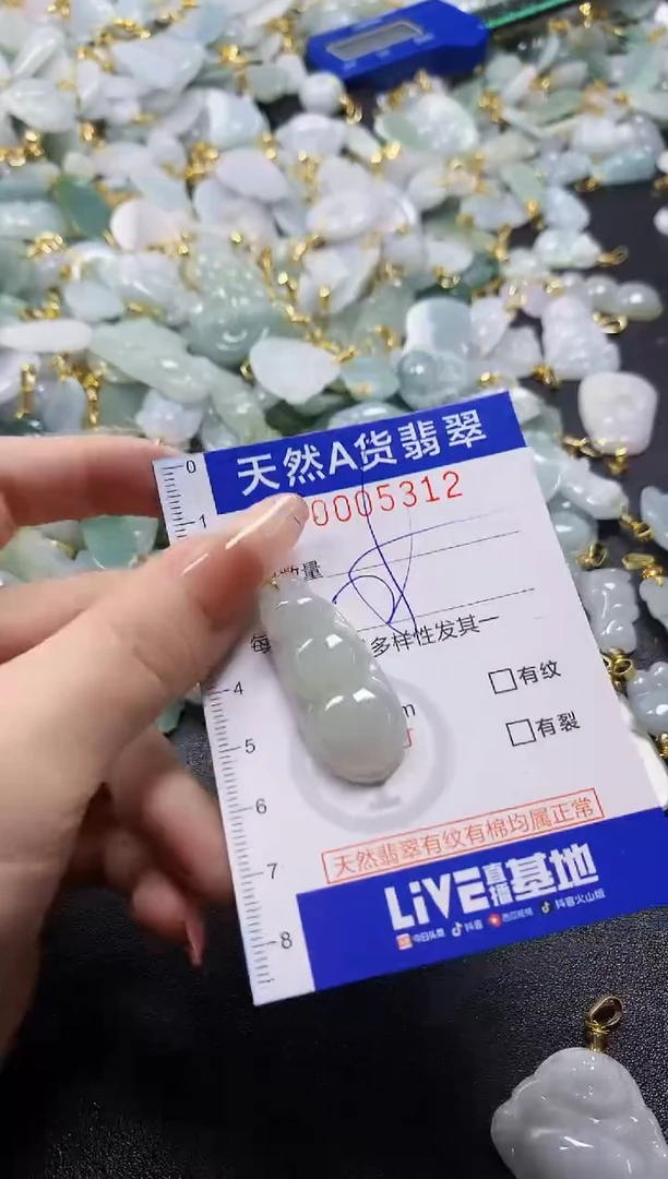 颈饰未镶嵌翡翠天然A货翡翠