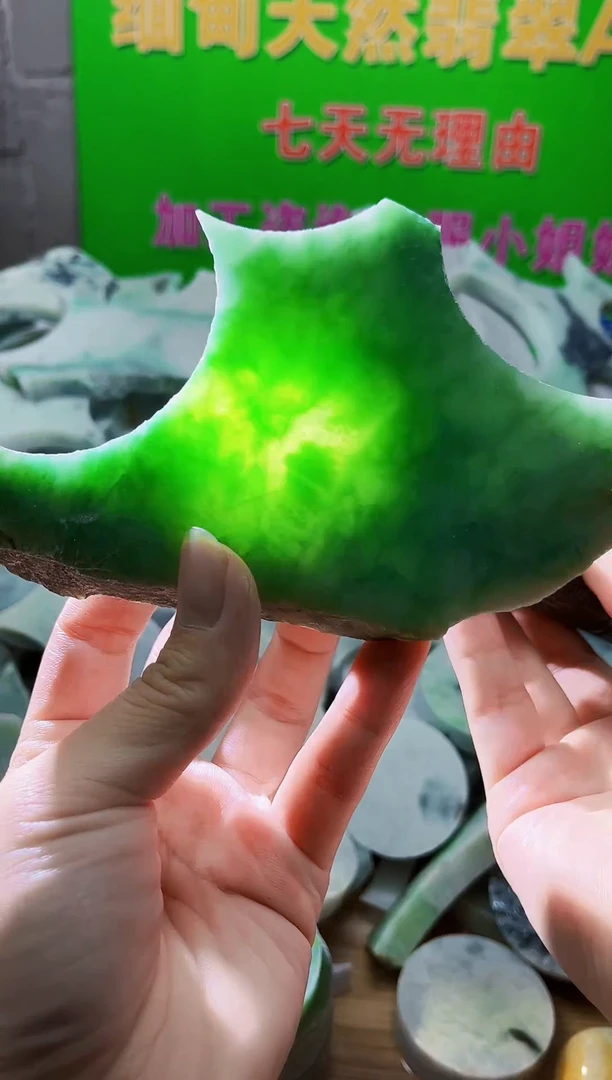 翡翠未镶嵌颈饰天然翡翠A货650