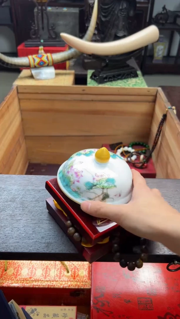 【闪购商品】瓷片—————————西西108
