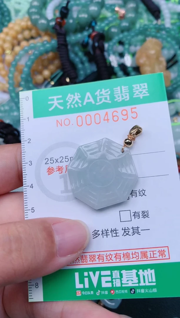颈饰未镶嵌翡翠.0004695