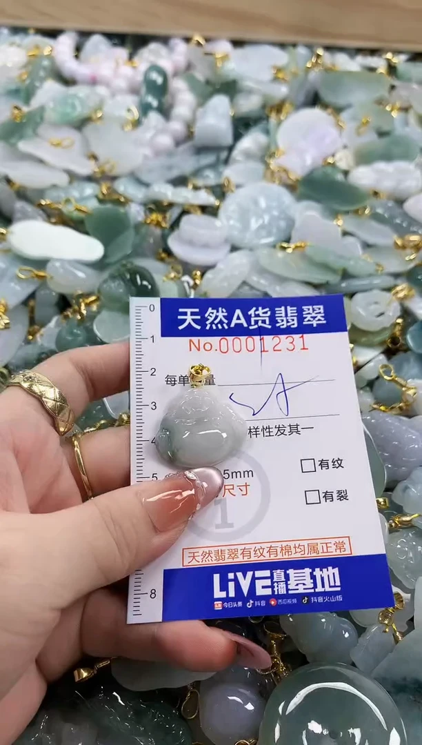 颈饰未镶嵌翡翠天然A货翡翠