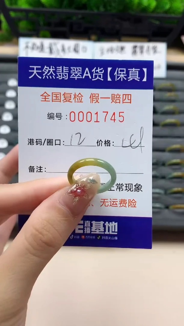 未镶嵌戒指翡翠天然  1745