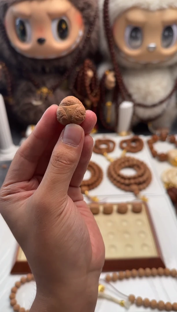 手串凤眼菩提龙眼
